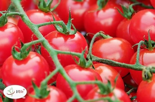 pomidory Spadają ceny żywności. Za co zapłacimy mniej w najbliższych miesiącach? 