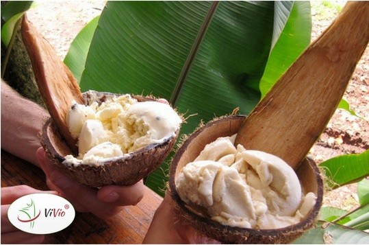 Vivio-główne Przepis na zdrowy deser. Jak przyrządzić pyszne lody na mleku kokosowym?  