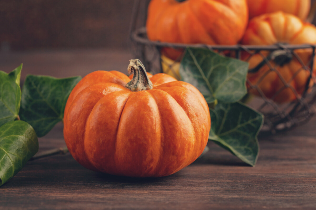 pumpkins-leaves-wooden-background-with-copy-space Sezon na dynię rozpoczęty – dowiedz się dlaczego warto wprowadzić ją do swojej diety!  